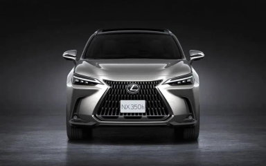 2024 Lexus NX 350 F SPORT