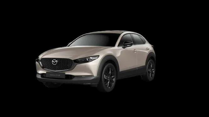 Zircon Sand Metallic 